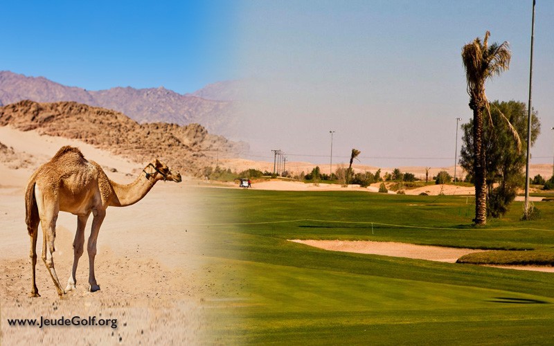 golf en Arable Saoudite