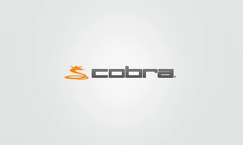 En 2014, Cobra espère sortir de la grisaille !
