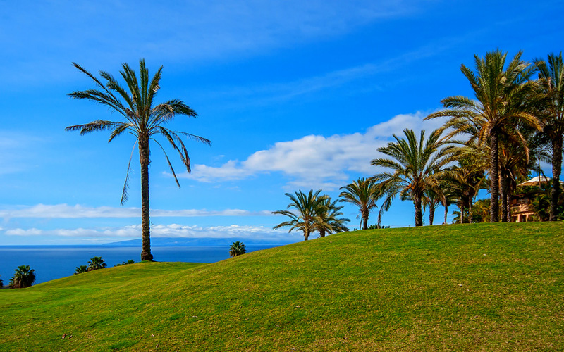 Tenerife, crédit photo Fotolia