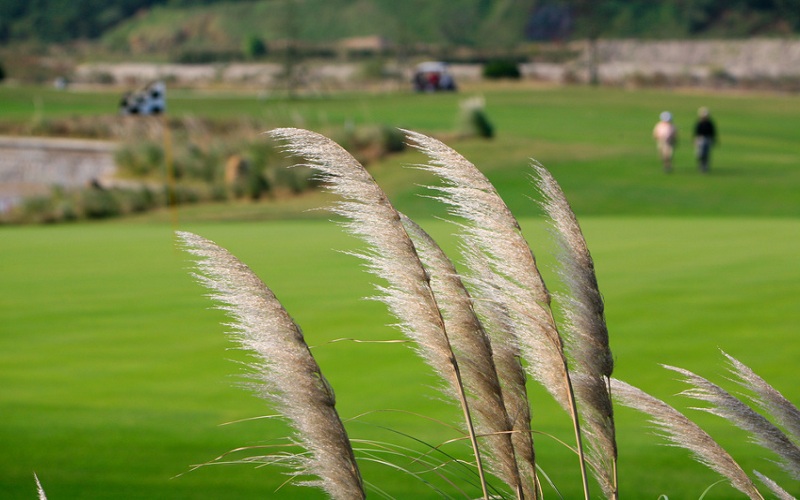 Comment faire de meilleurs scores au golf quand le vent se lève ?