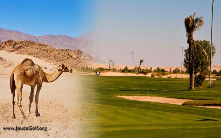 Pourquoi l’Arabie saoudite suscite un nouvel engouement pour les voyages de golf ?