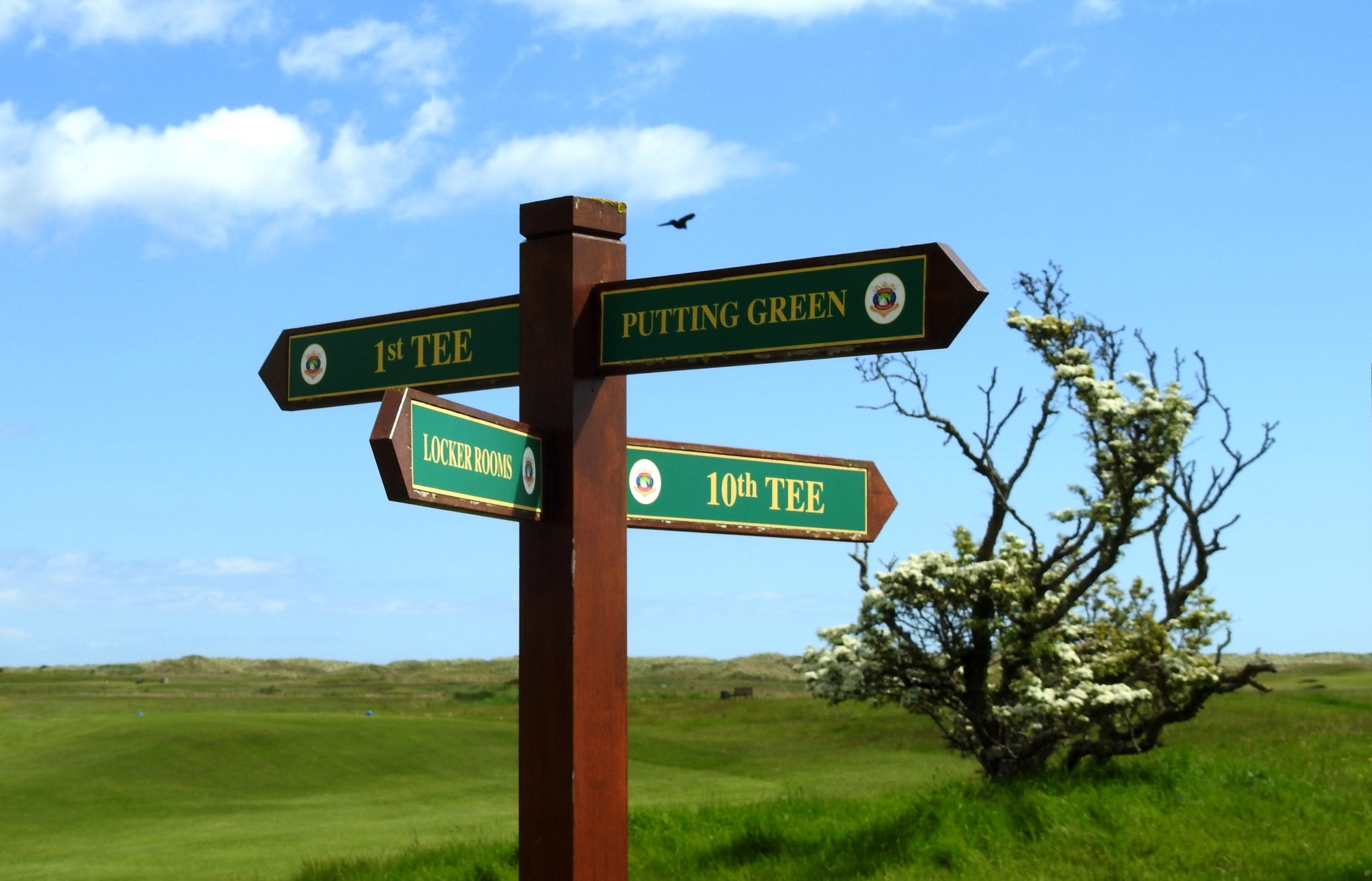 Comment améliorer l'expérience utilisateur ou client dans les clubs de golf ?